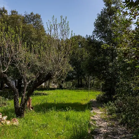 Unforgettable In Authentic Trullo With Jacuzzi * Martina Franca