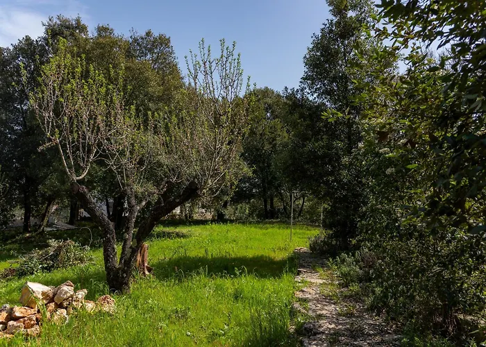 Unforgettable In Authentic Trullo With Jacuzzi * Martina Franca